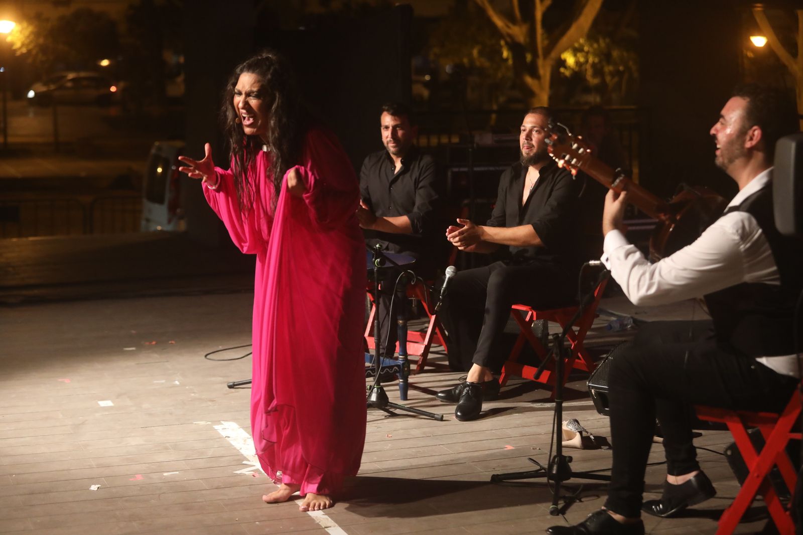 La noche flamenca en el Parque de San Fernando, en imágenes
