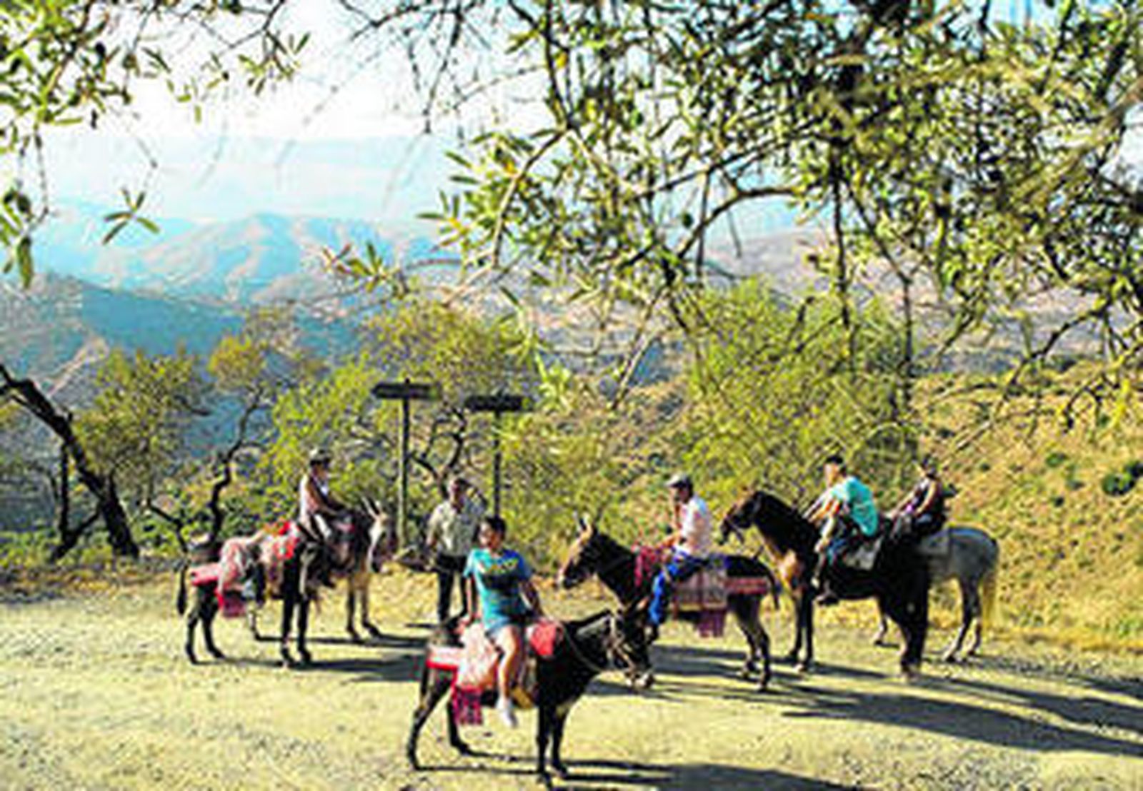 Varios usuarios del servicio de burro taxi de Comares.