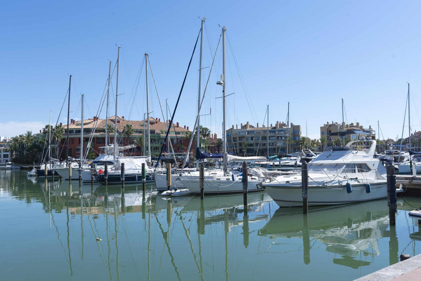 Fotos de una mañana de primavera en Sotogrande