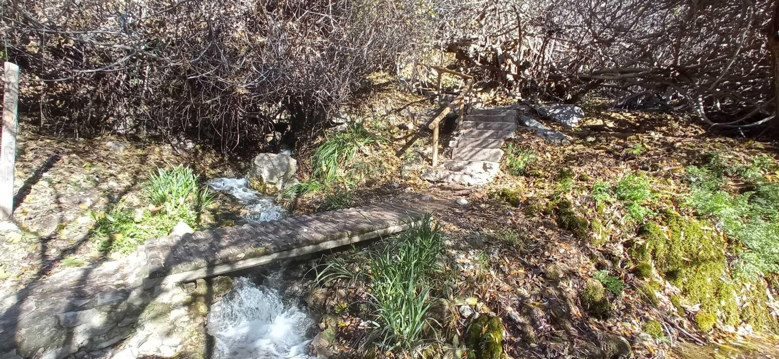 Las imágenes de la ruta del Bosque Encantado de Higueras