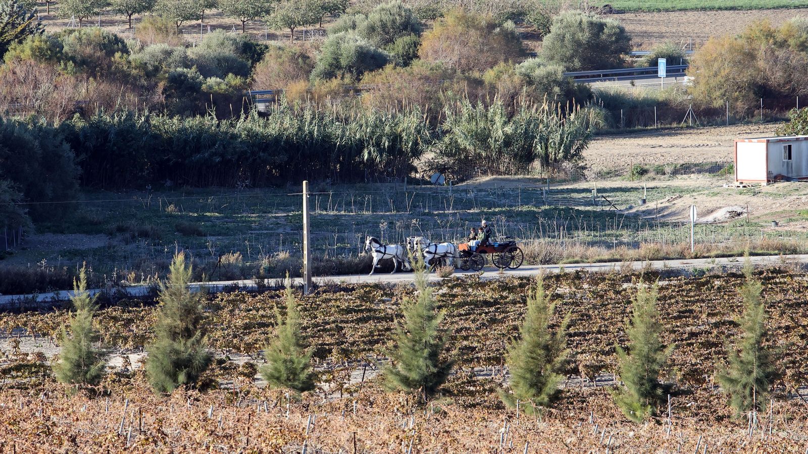II Ruta Viñas de Jerez