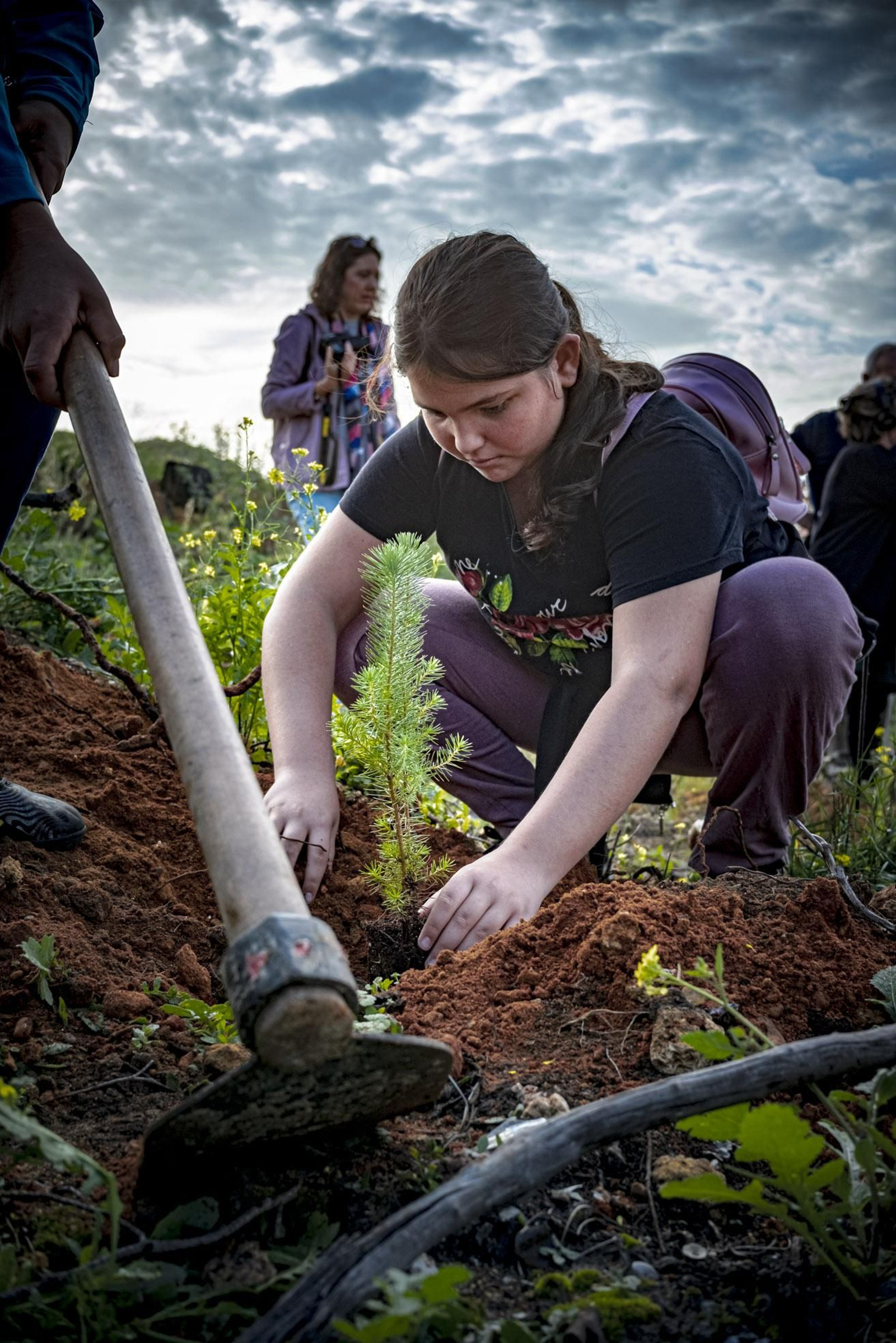 Las imágenes de escolares reforestando el pinar de Las Canteras de Puerto Real.