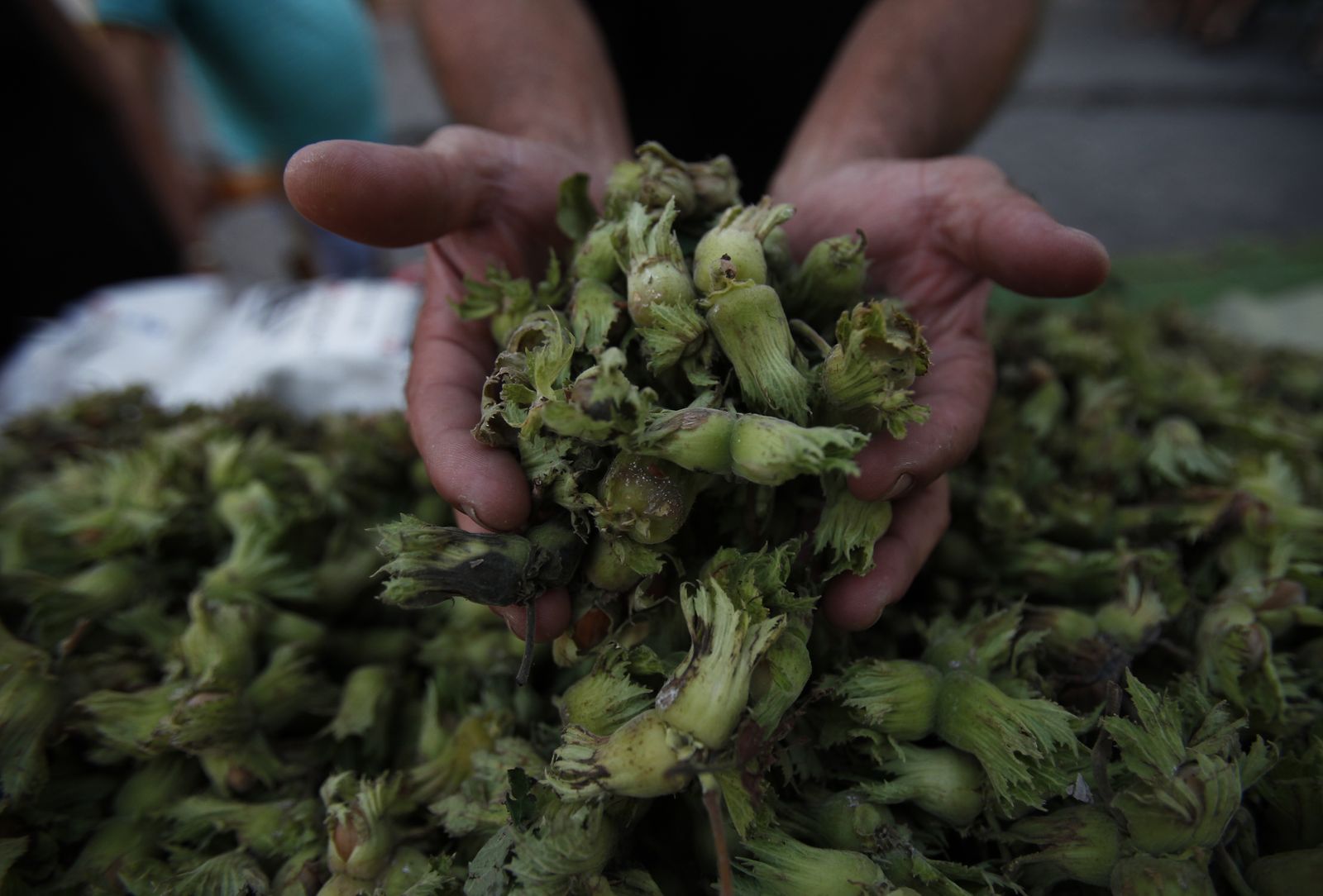 Imágenes de la Velá de Santa Ana