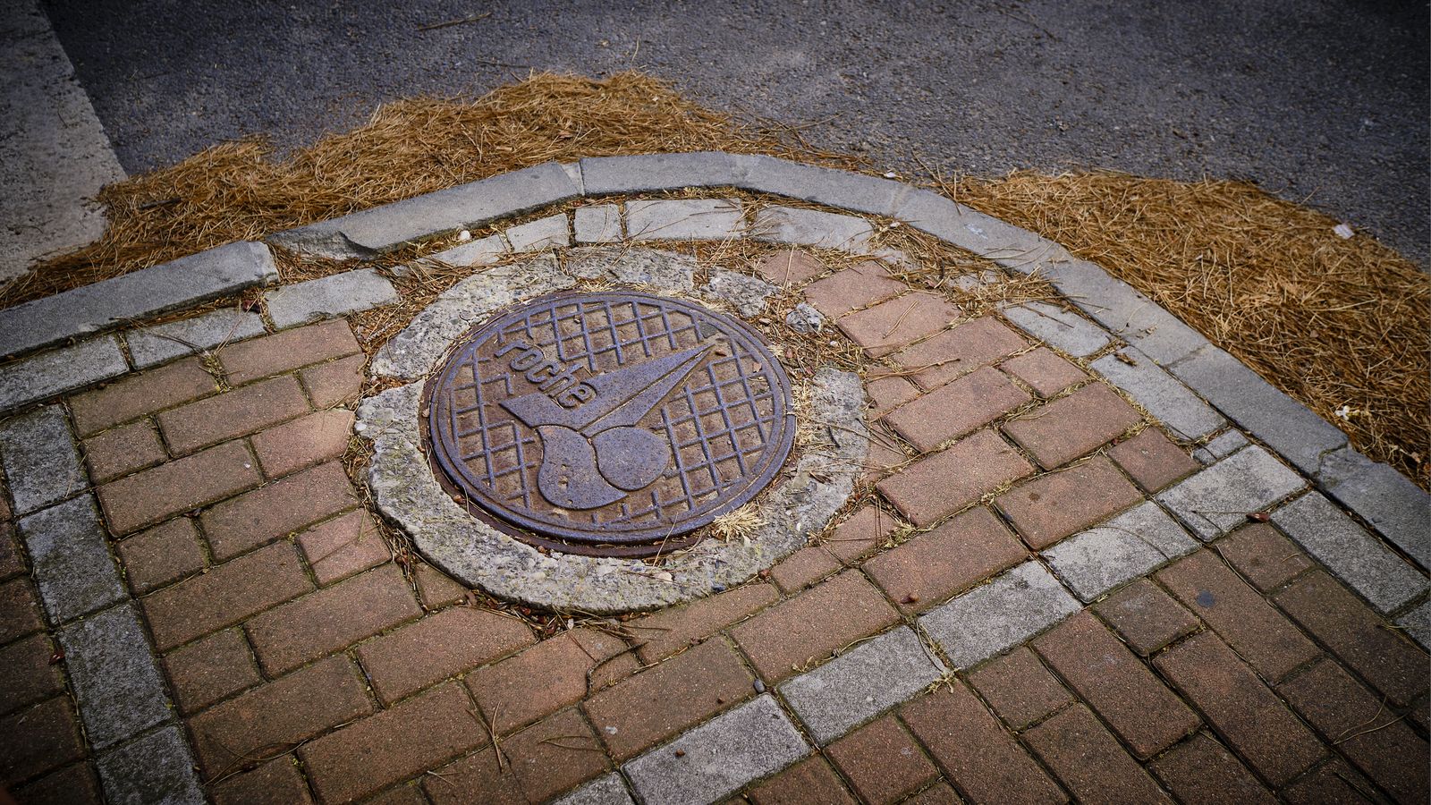 Pavimento en mal estado, susceptible de provocar tropiezos, caidas y accidentes.