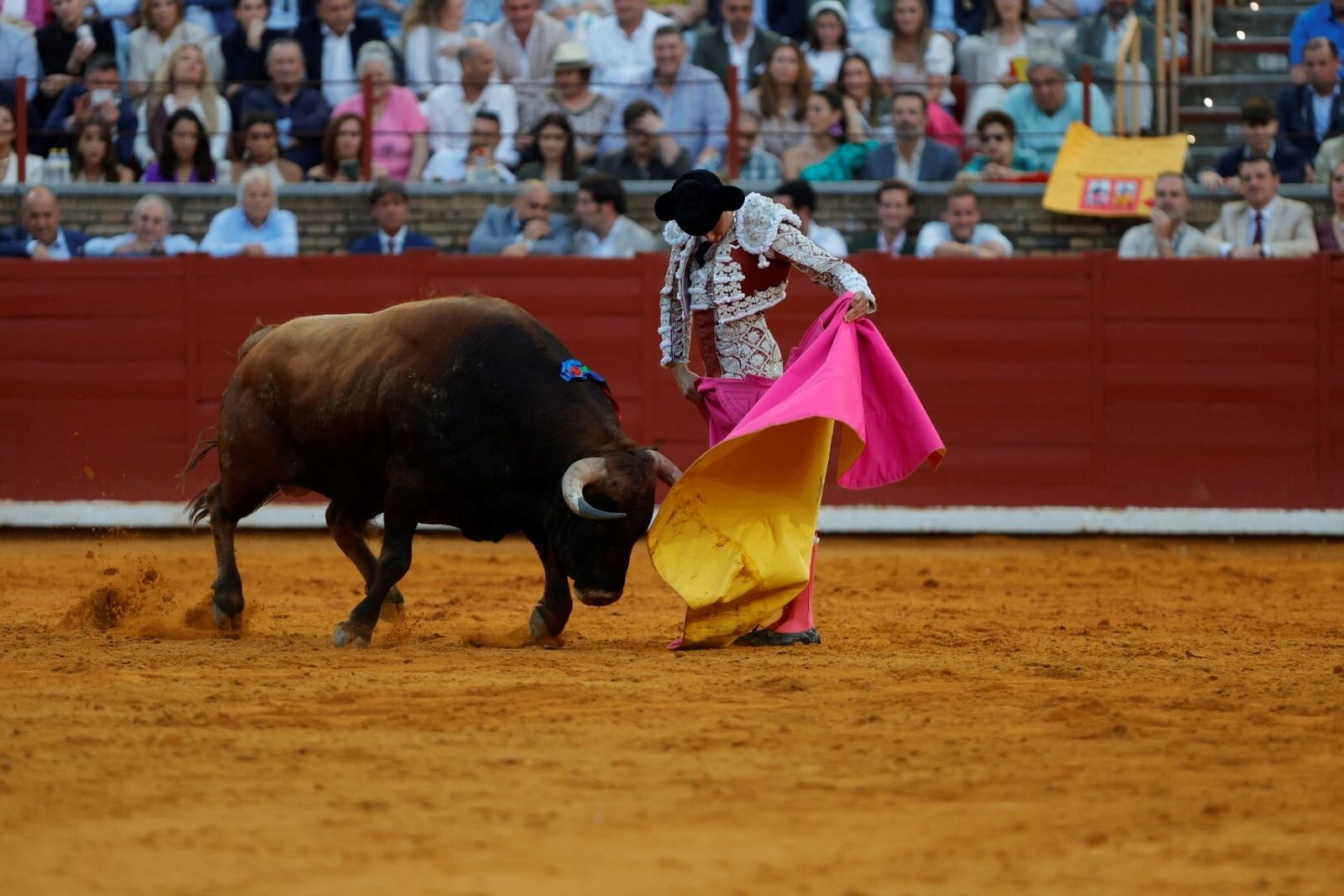 Las mejores fotos de la corrida de Morante, Ortega y Roca Rey en la Feria Taurina de Córdoba