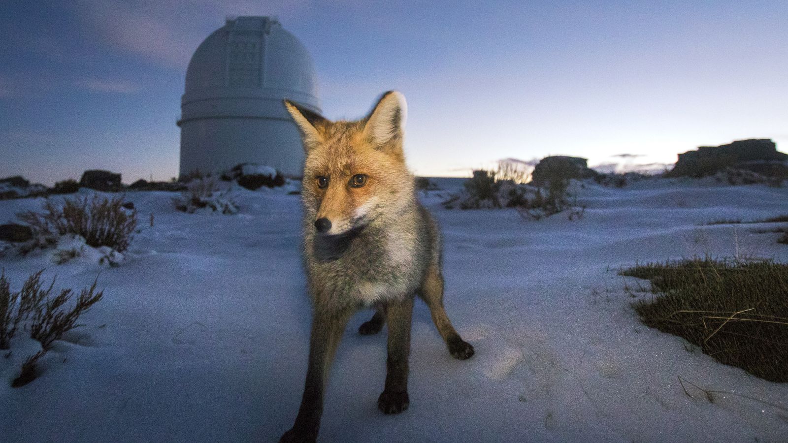 Calar Alto (Almería)