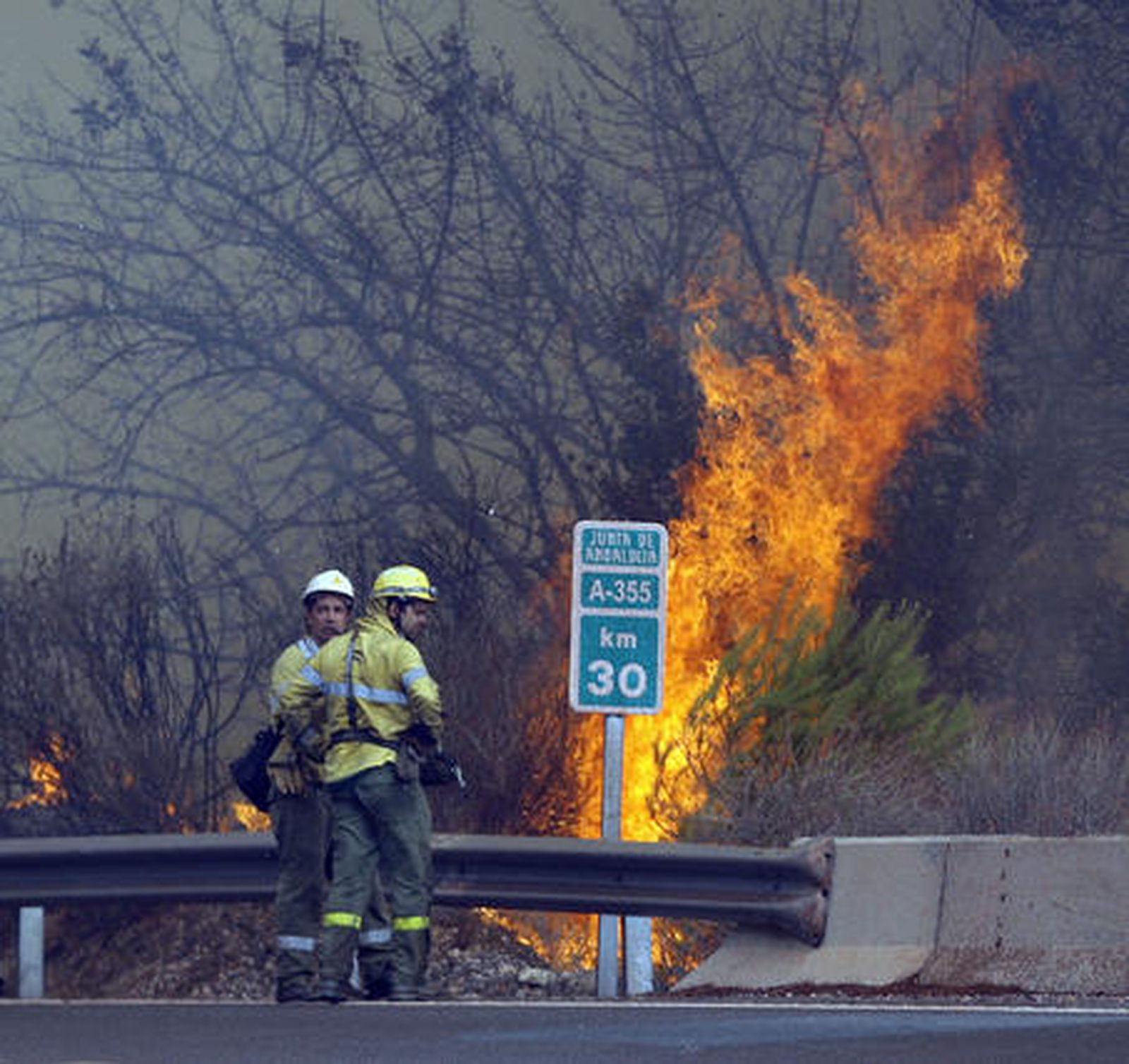 El incendio, extendido por los municipios de Alhaurín el Grande, Mijas, Ojén, Monda y Marbella  Foto: Sergio Camacho