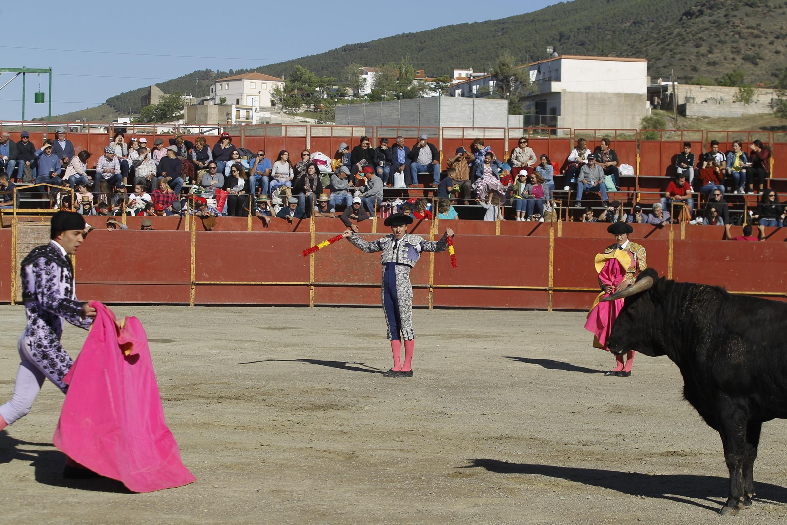 Fotogalería Novillada Fiestas de Abrucena