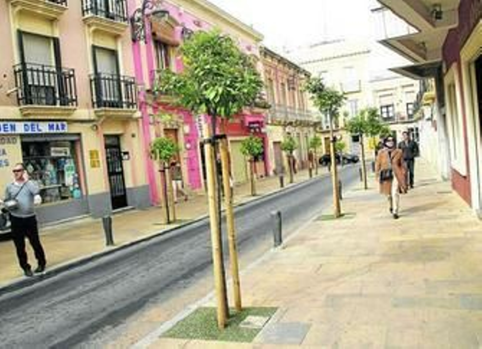 Los nuevos naranjos de la calle Gravina.