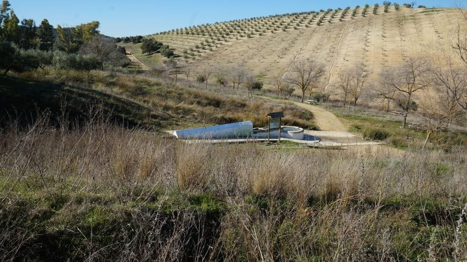 Por las fuentes históricas de Montilla