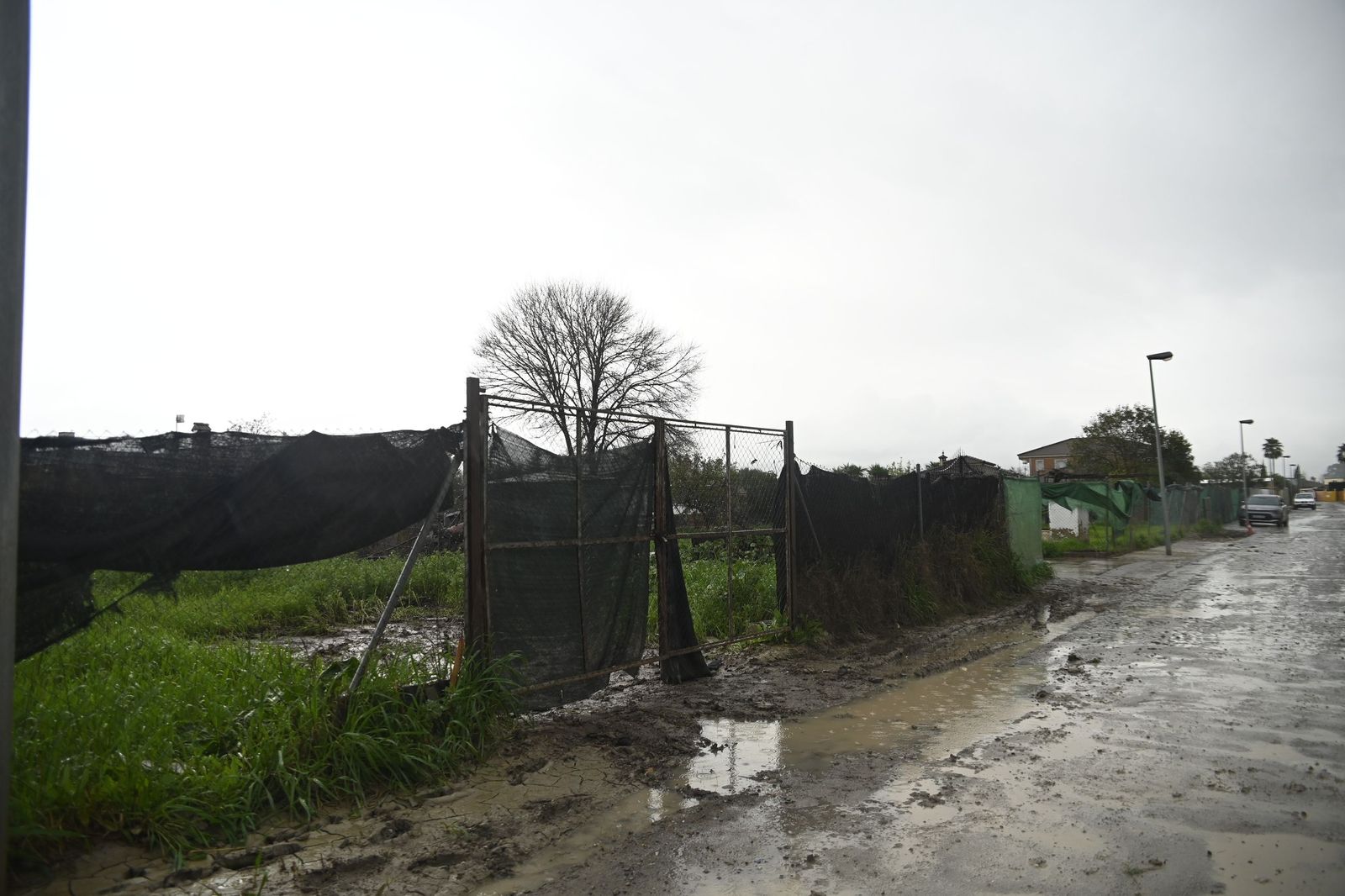 Parcelas de Guadalvalle siguen anegadas por el barro un mes después de las inundaciones
