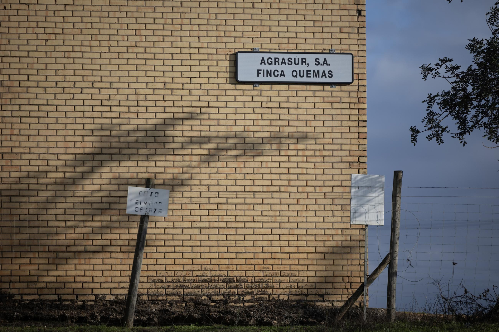 Las fotos de los cultivos en Doñana después del acuerdo sobre la regulación de regadios