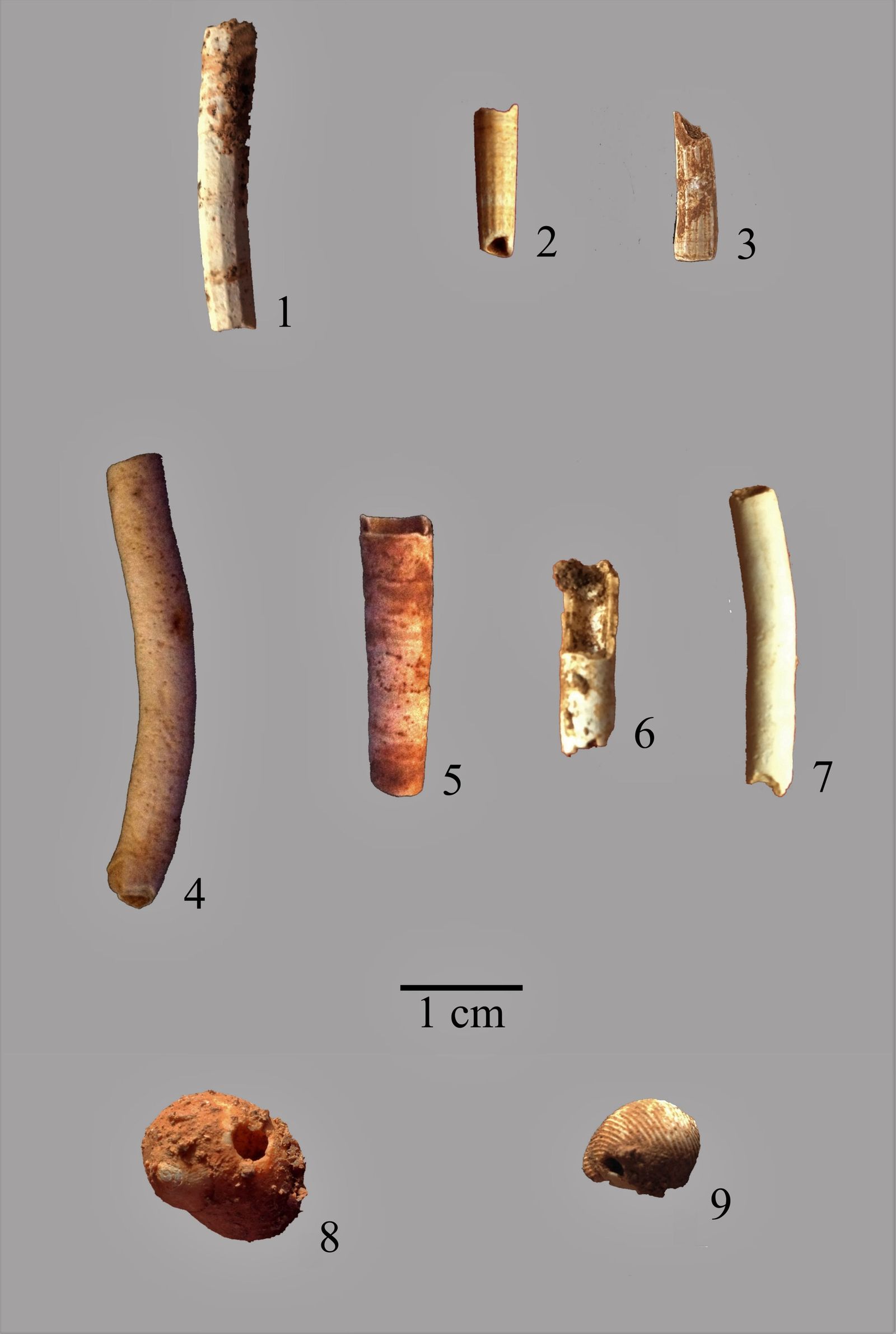 Tipología de adornos