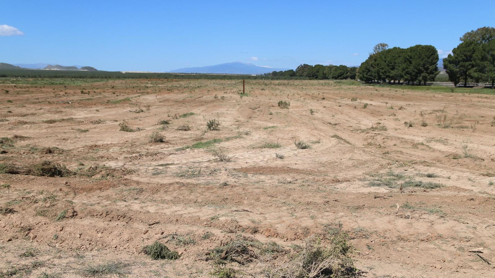 Parte del terreno que albergará la planta fotovoltaica de X-Elio entre Tabernas y Lucainena
