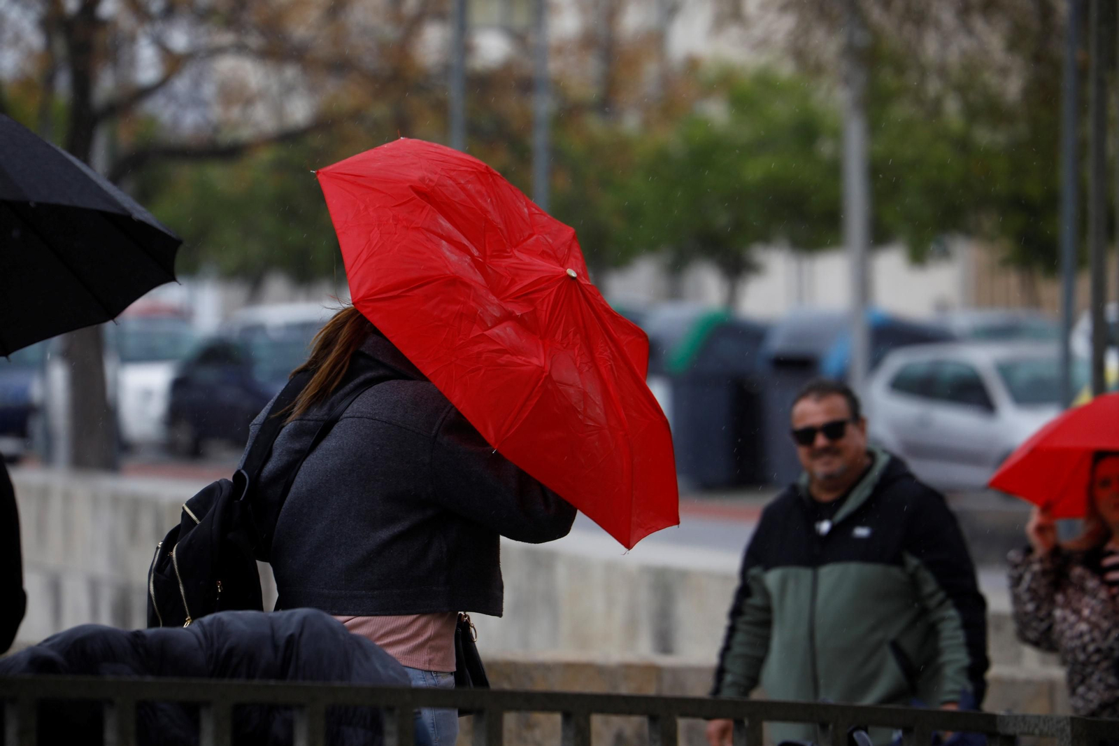 La borrasca Martinho aprieta en Córdoba, en imágenes