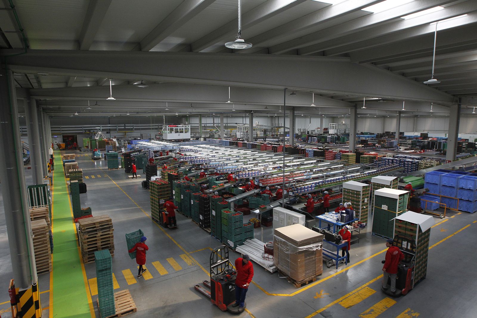 Fotogalería nuevas instalaciones Vicasol 3 en El Ejido