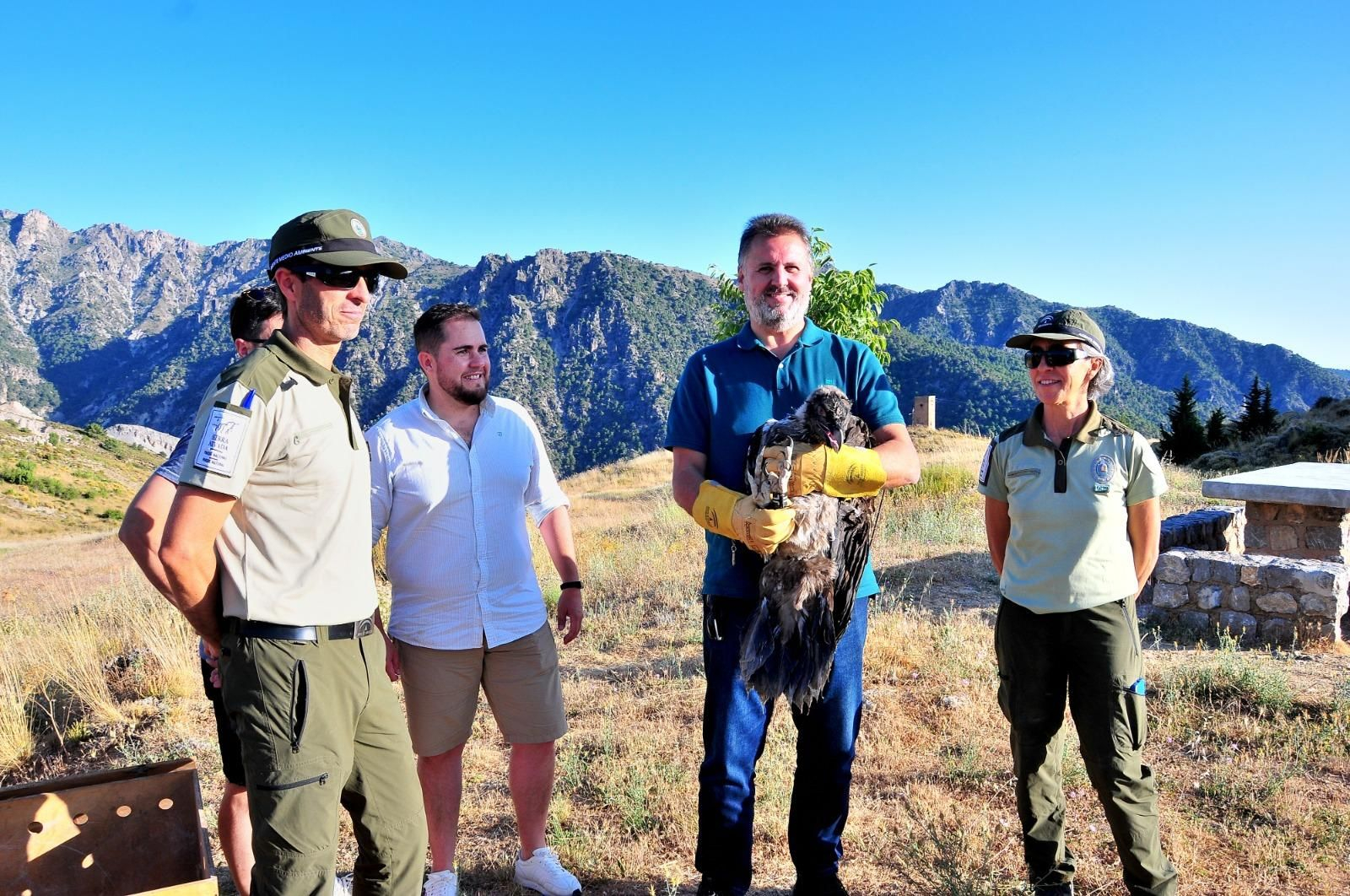 El pollo de quebrantahuesos fue soltado en la zona de Cumbres Verdes El pollo de quebrantahuesos fue soltado en la zona de Cumbres Verdes