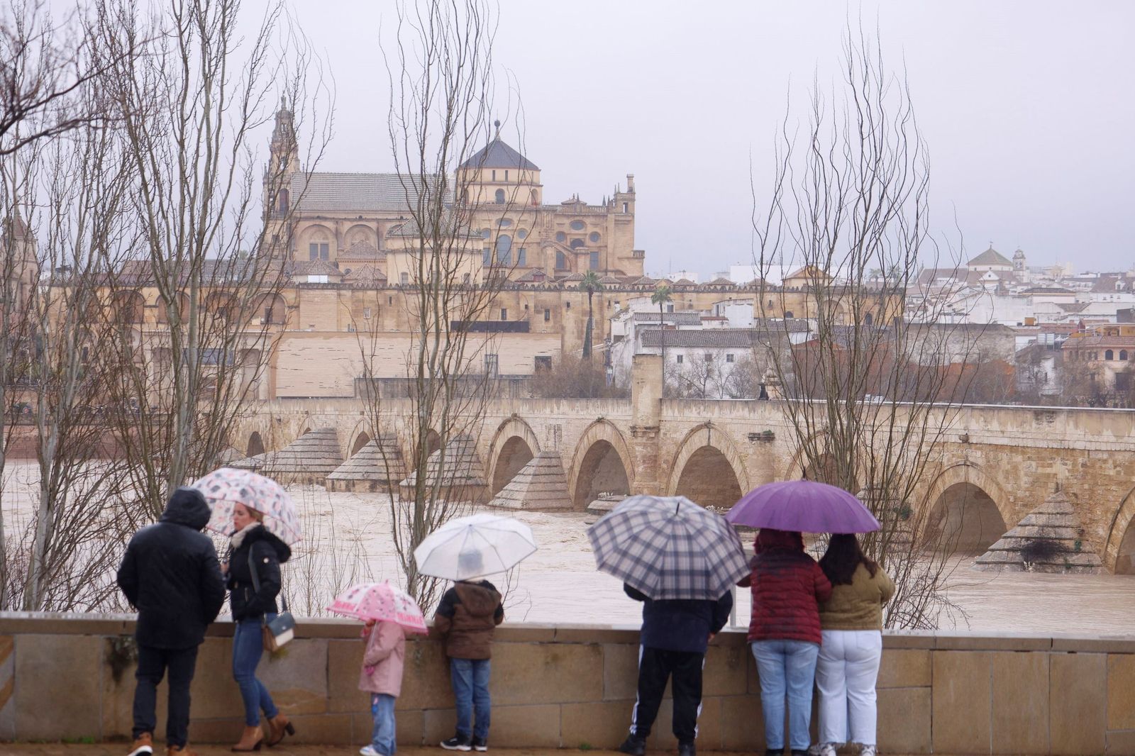 Así se muestra el río Guadalquivir a su paso por Córdoba a la espera de otra crecida