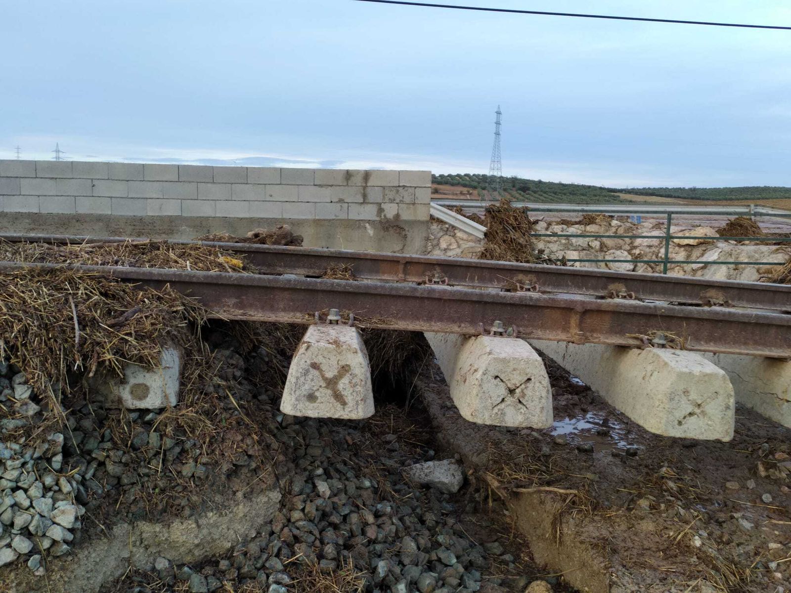 Las fotos del tren descarrilado en Málaga, a su paso por Teba