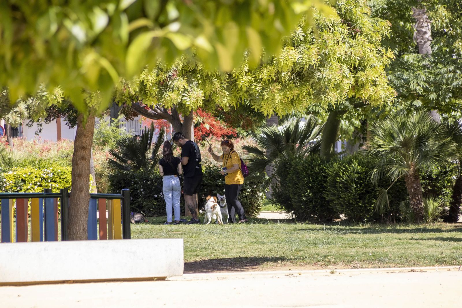 Imágenes del día 4 de mayo en Huelva