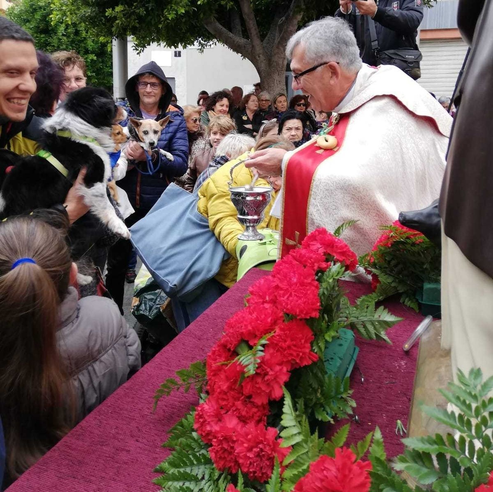 El gran día de los animales