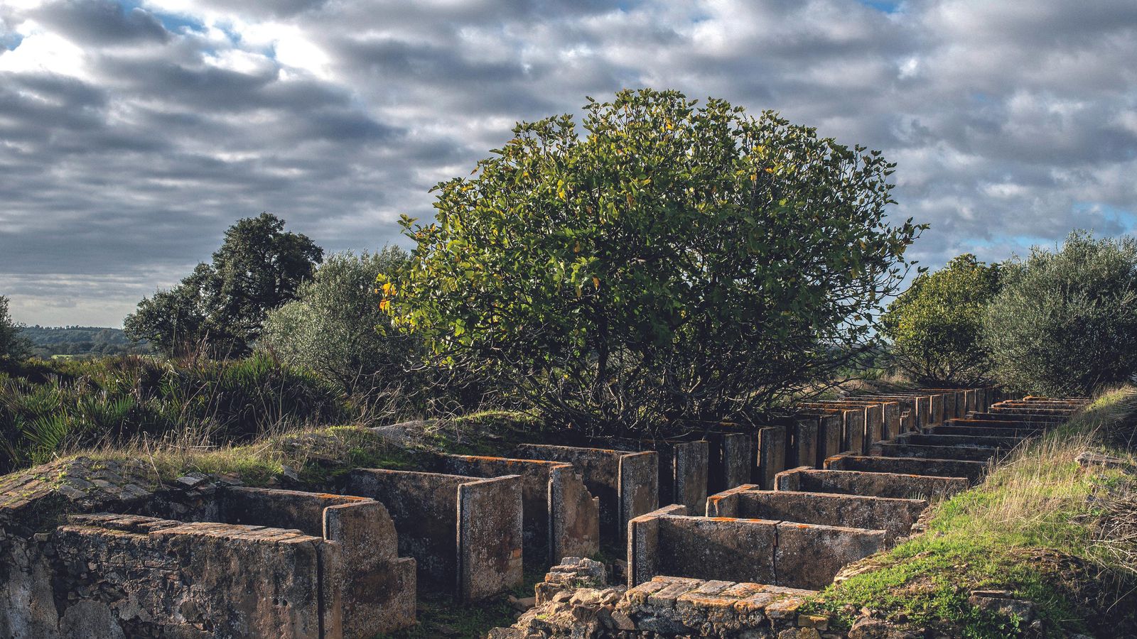 Zahurdas de la Dehesa de la Nicola, en Beas.