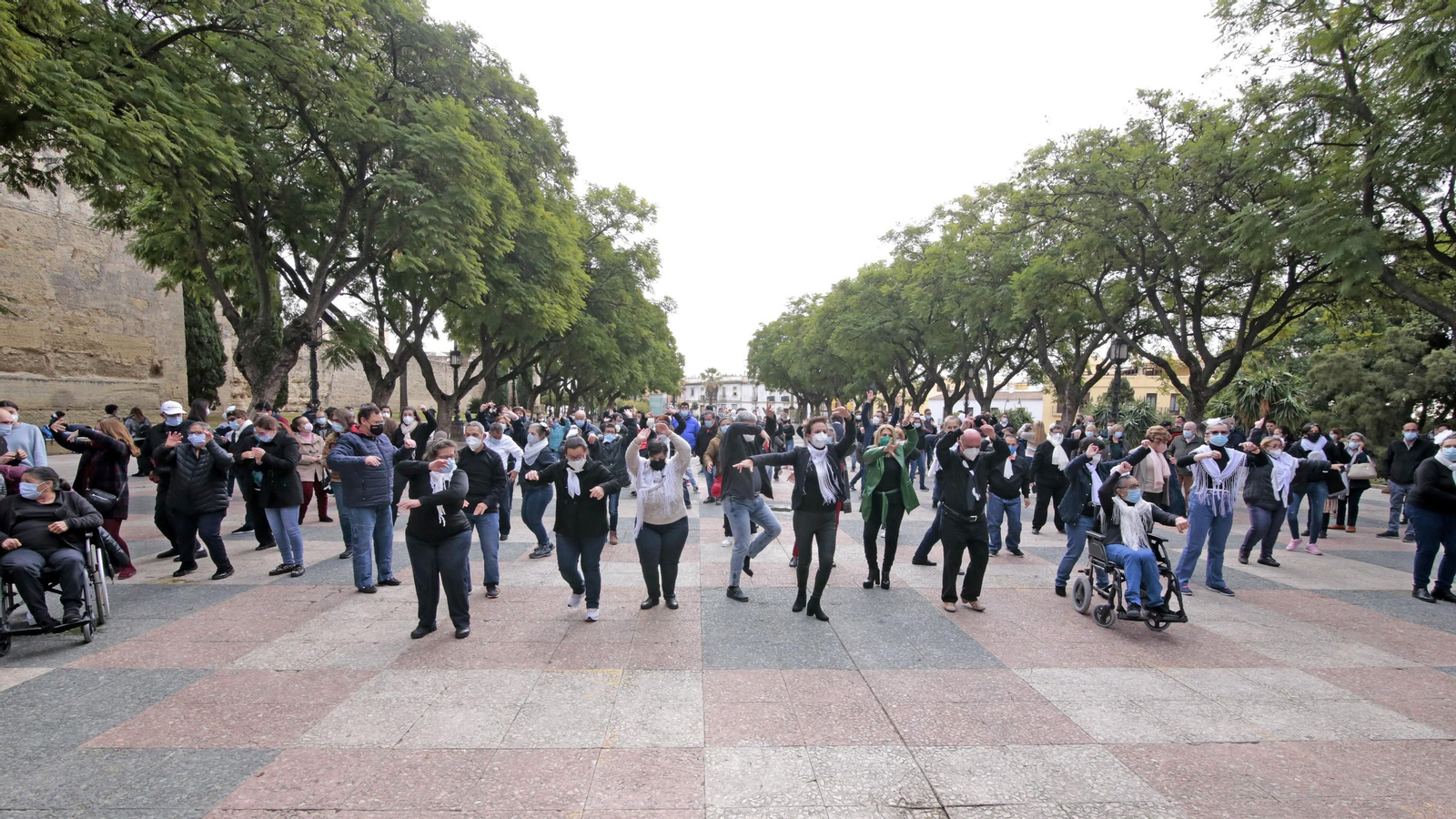 Las mejores imágenes del Flashmob flamenco de Afanas
