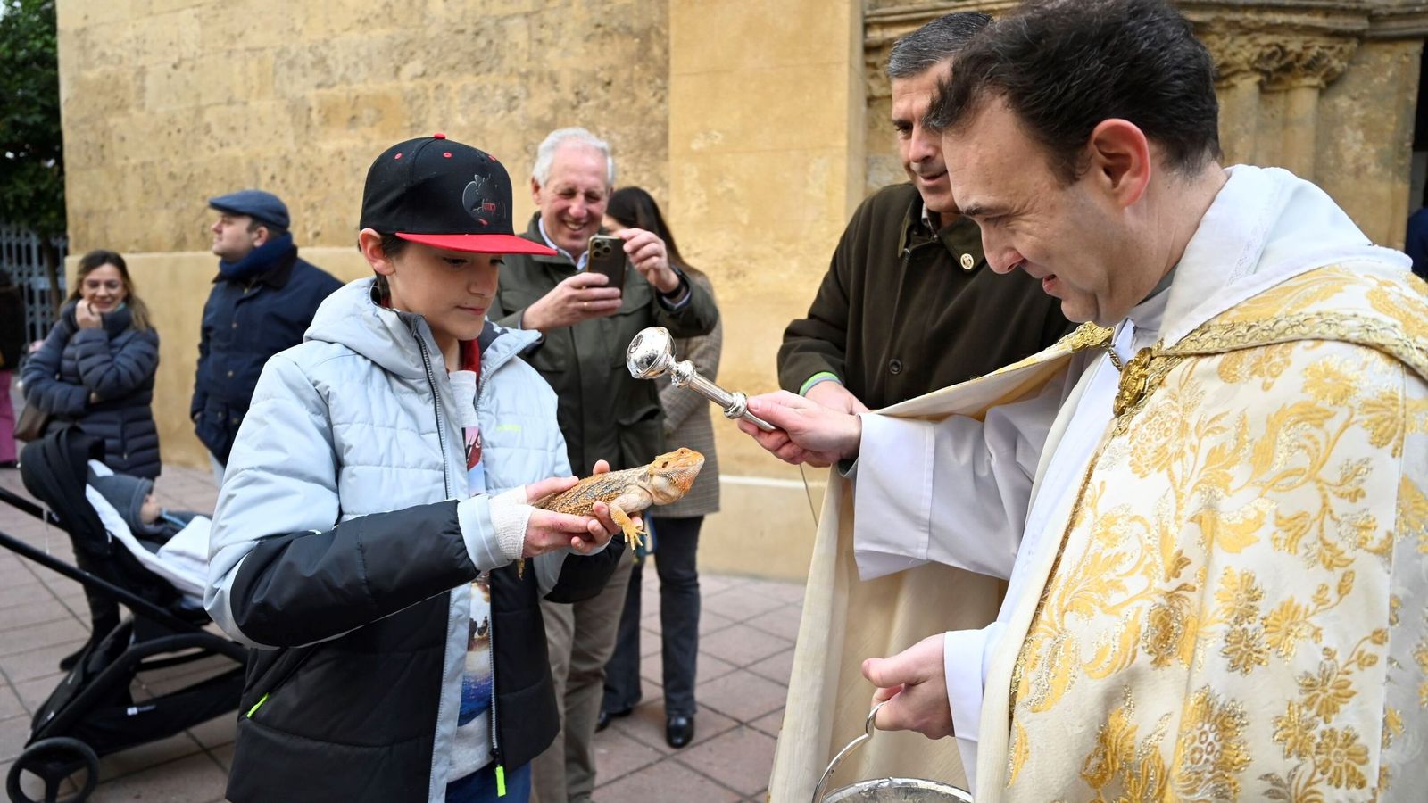 La bendición de animales por San Antón en Córdoba