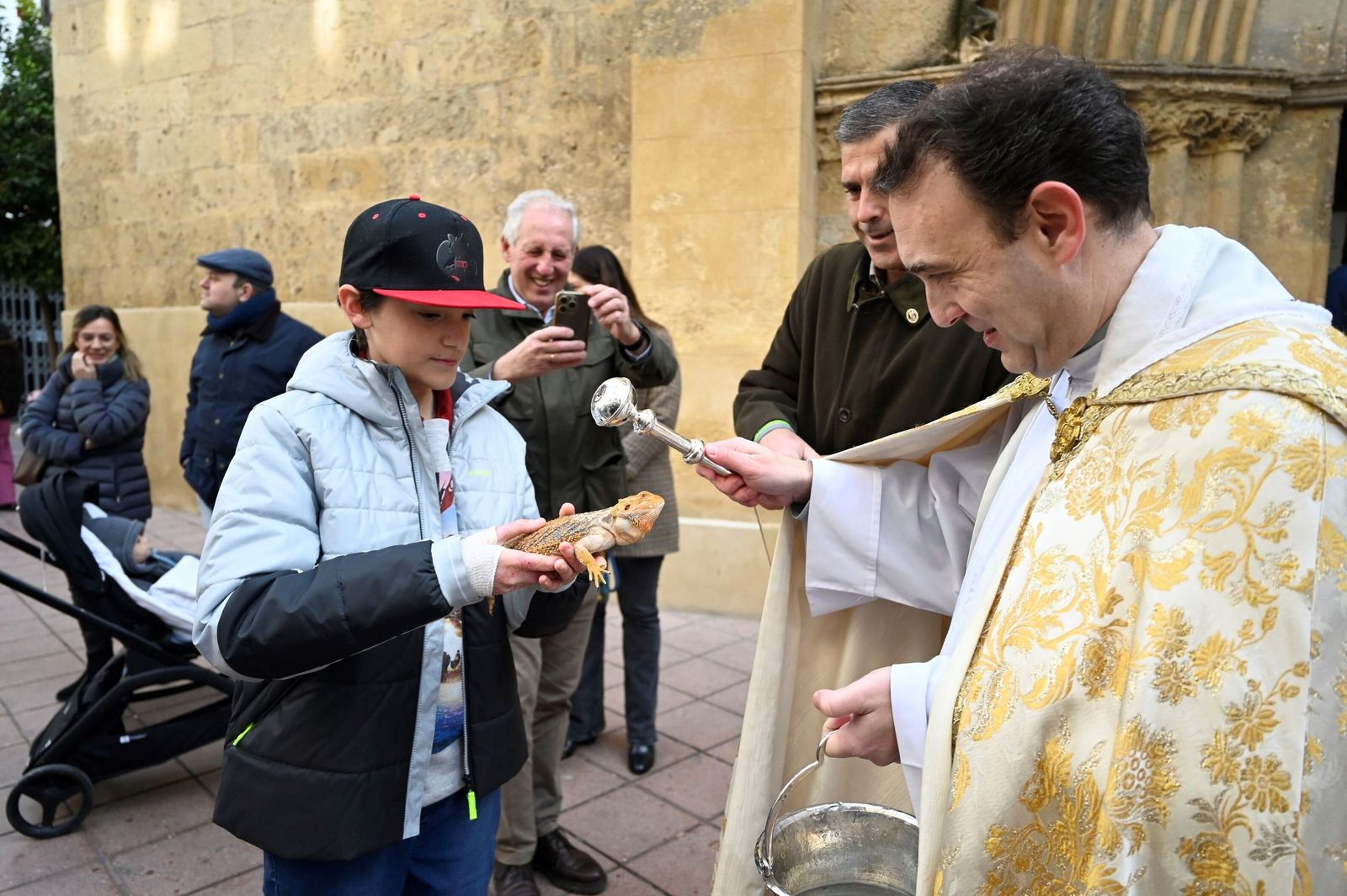 La bendición de animales por San Antón en Córdoba