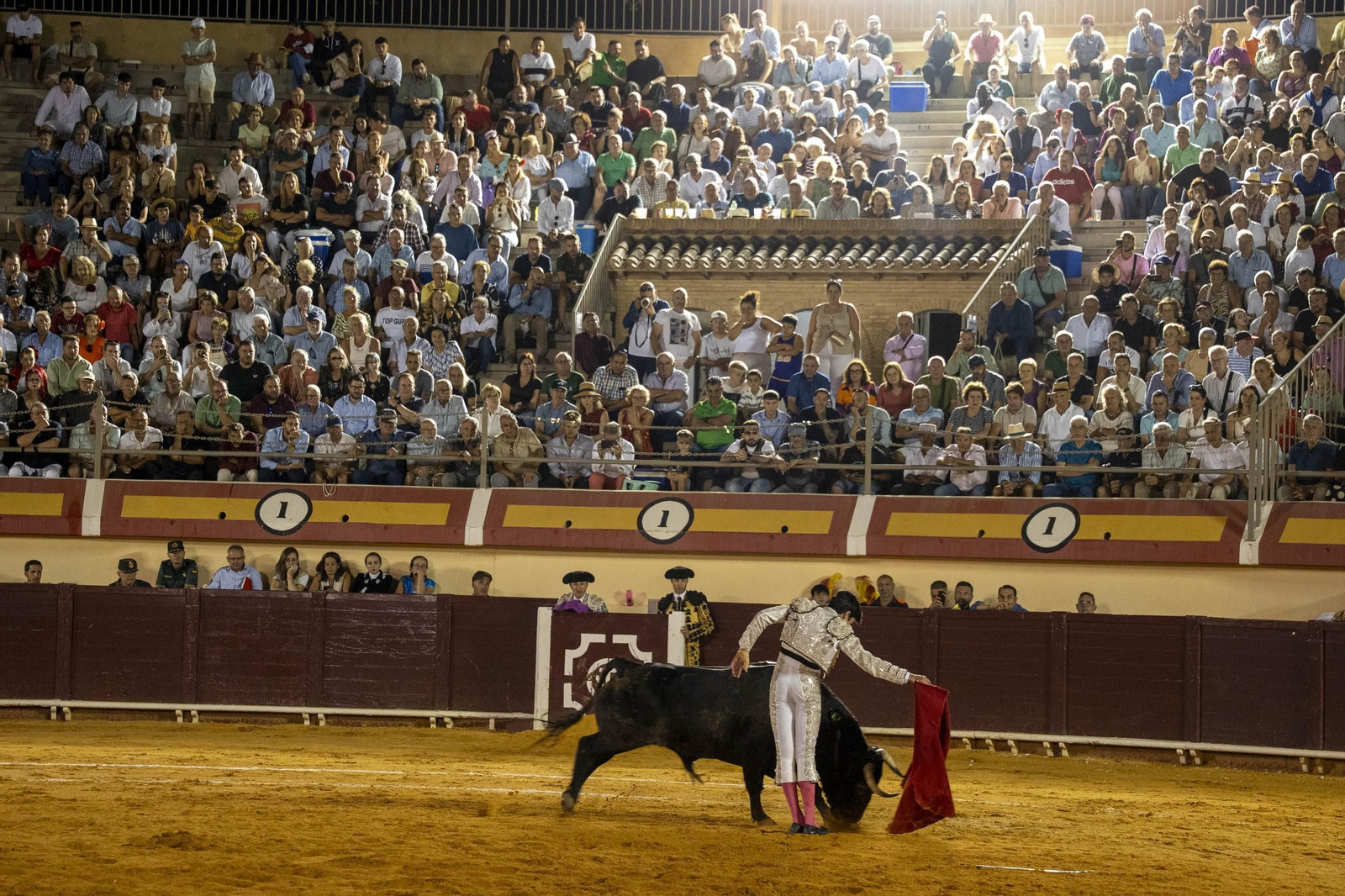 Las imágenes de los toros en Vera