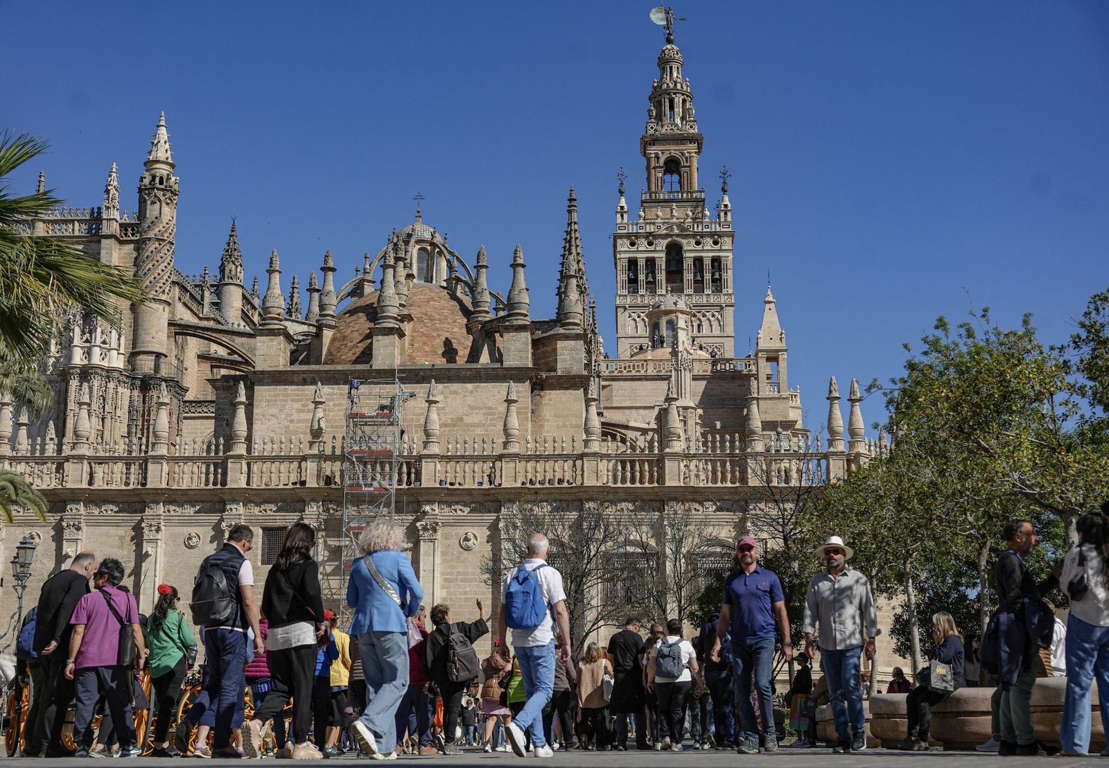 Turistas alrededor de la Catedral.
