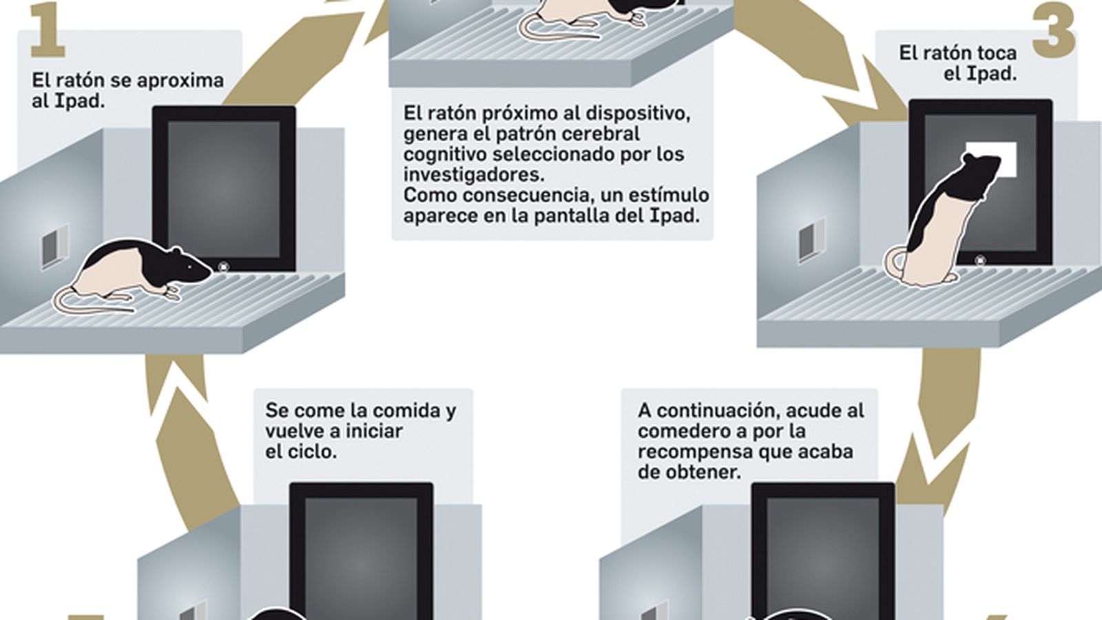 FUENTE: Universidad Pablo de Olavide y Autónoma de Barcelona. GRÁFICO: Dpto. de Infografía.