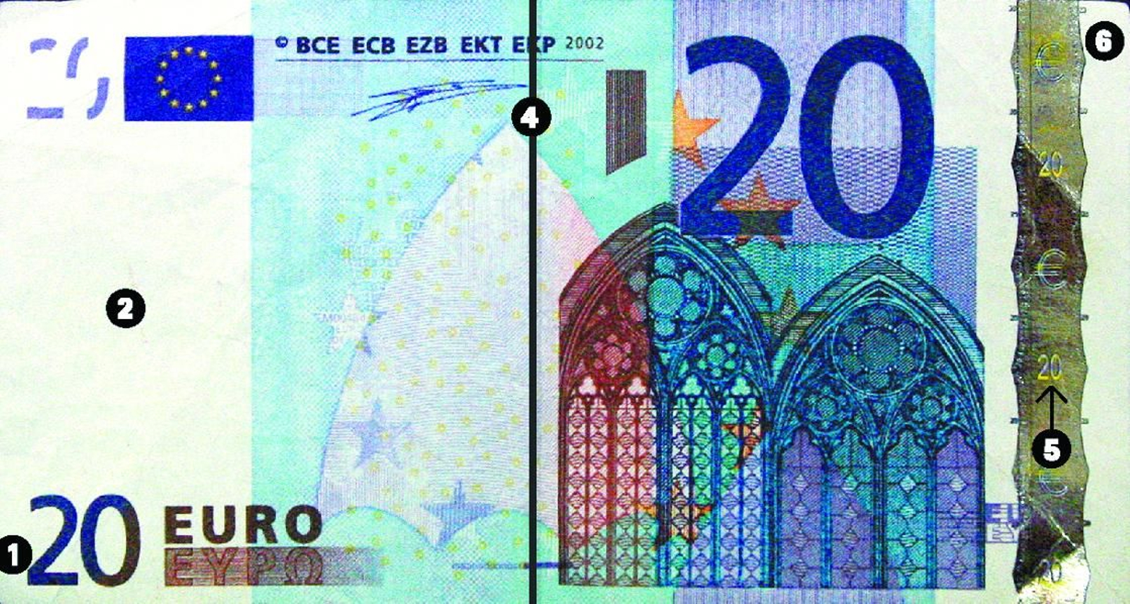 Cae a una banda de falsificadores de billetes en Granada