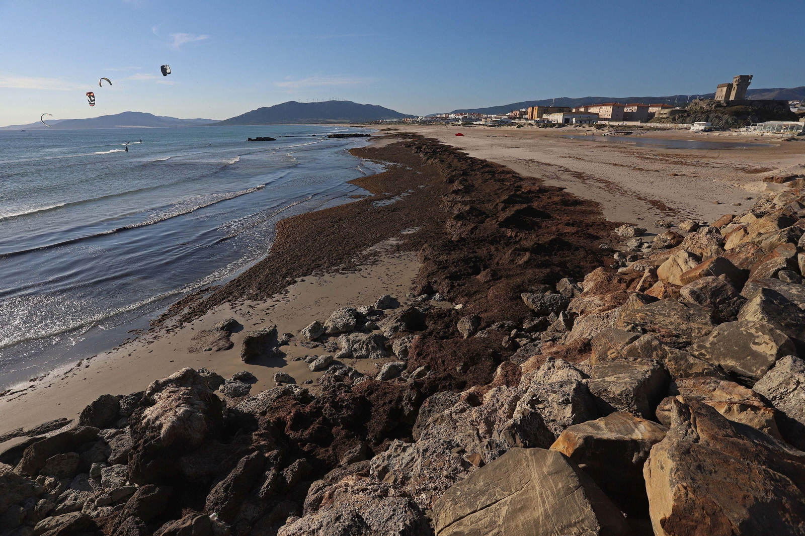 Un manto de algas cubre la playa de Los Lances, en Tarifa.