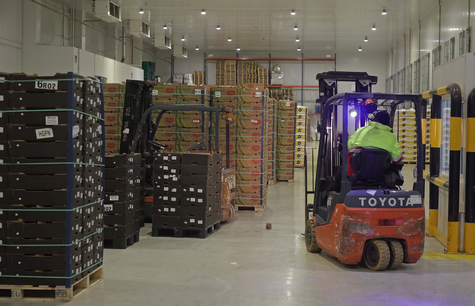 Fotos de la visita a la empresa Americold en el Puerto de Algeciras