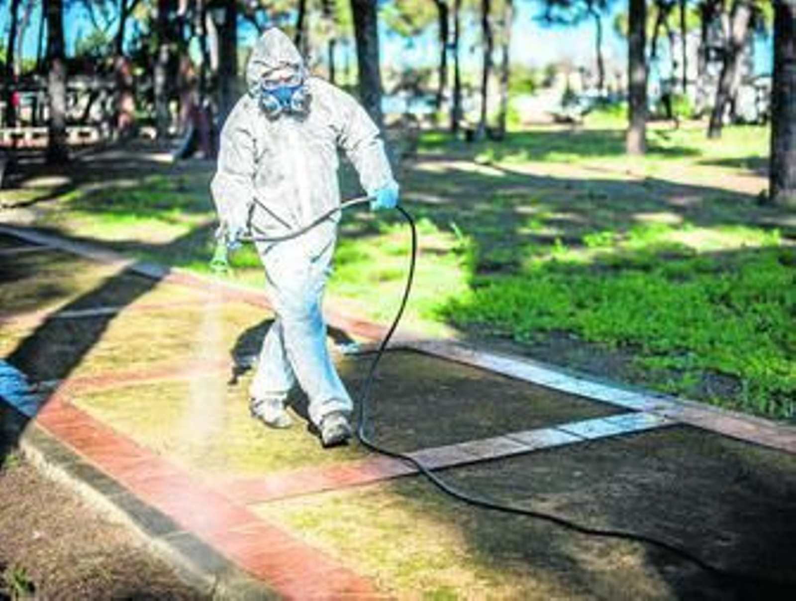 Fumigación manual en Hinojos, el pasado mes de diciembre, cuando una plaga provocó cientos de consultas relacionadas con la oruga.