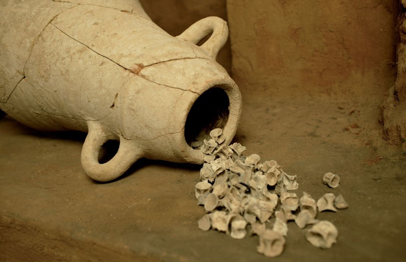 Ánfora salsaria que aún conservaba en su interior las vértebras del atún que un día transportó.