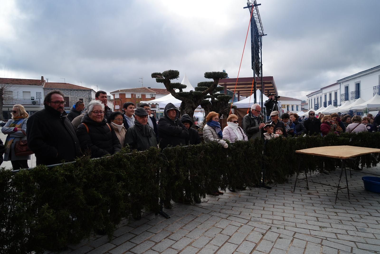 XX Fiesta de la Matanza de Alcaracejos