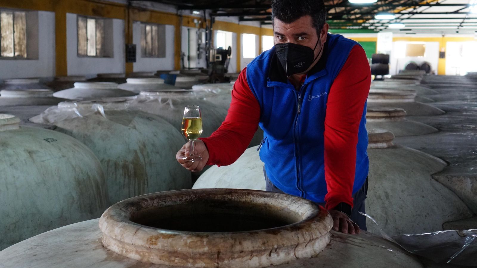 Mosto fresco en Nuestra Señora del Rosario.