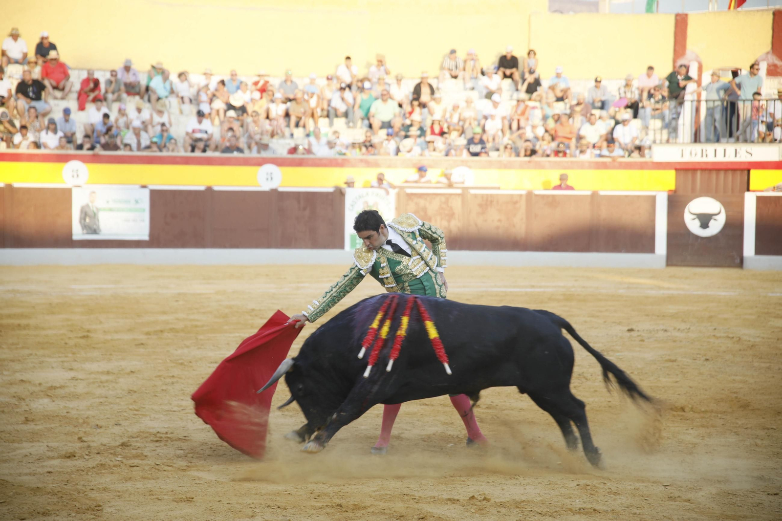 Corrida de toros Berja con un toro indultado, en imágenes