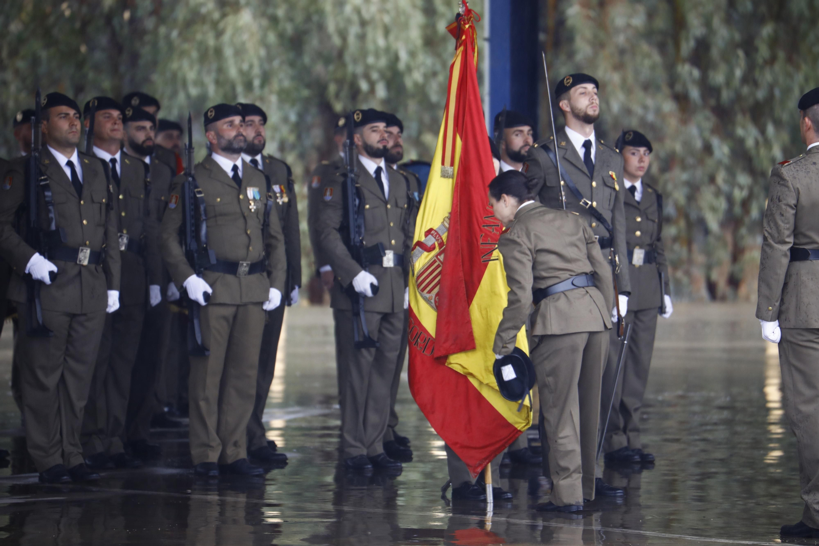 El desfile militar de la Brigada de Córdoba por la festividad de la Inmaculada, en imágenes El desfile militar de la Brigada de Córdoba por la festividad de la Inmaculada, en imágenes