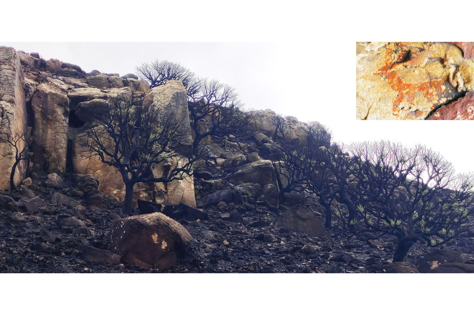 El incendio en el tajo del Duque y, arriba, de unas ciervas.