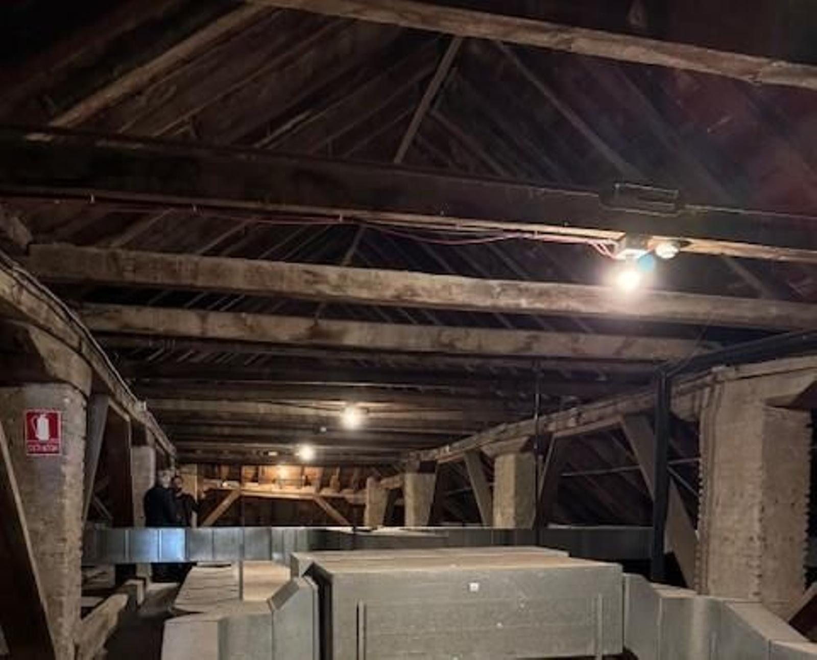 Estado de las cubiertas del Salón Alto del Apeadero del Alcázar.