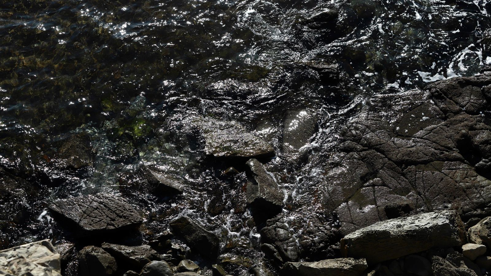 Las mejores fotos del sendero de la Colada de la Costa en Algeciras