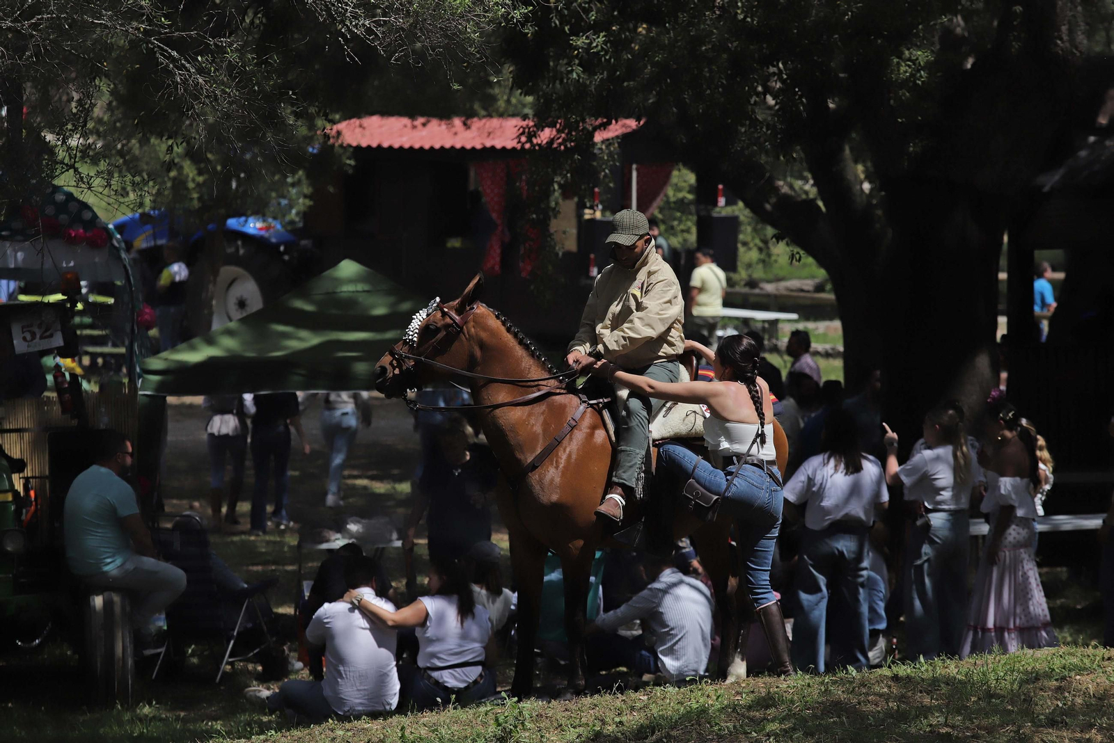 El domingo de Romería de San Isidro Labrador de Los Barrios, en imágenes