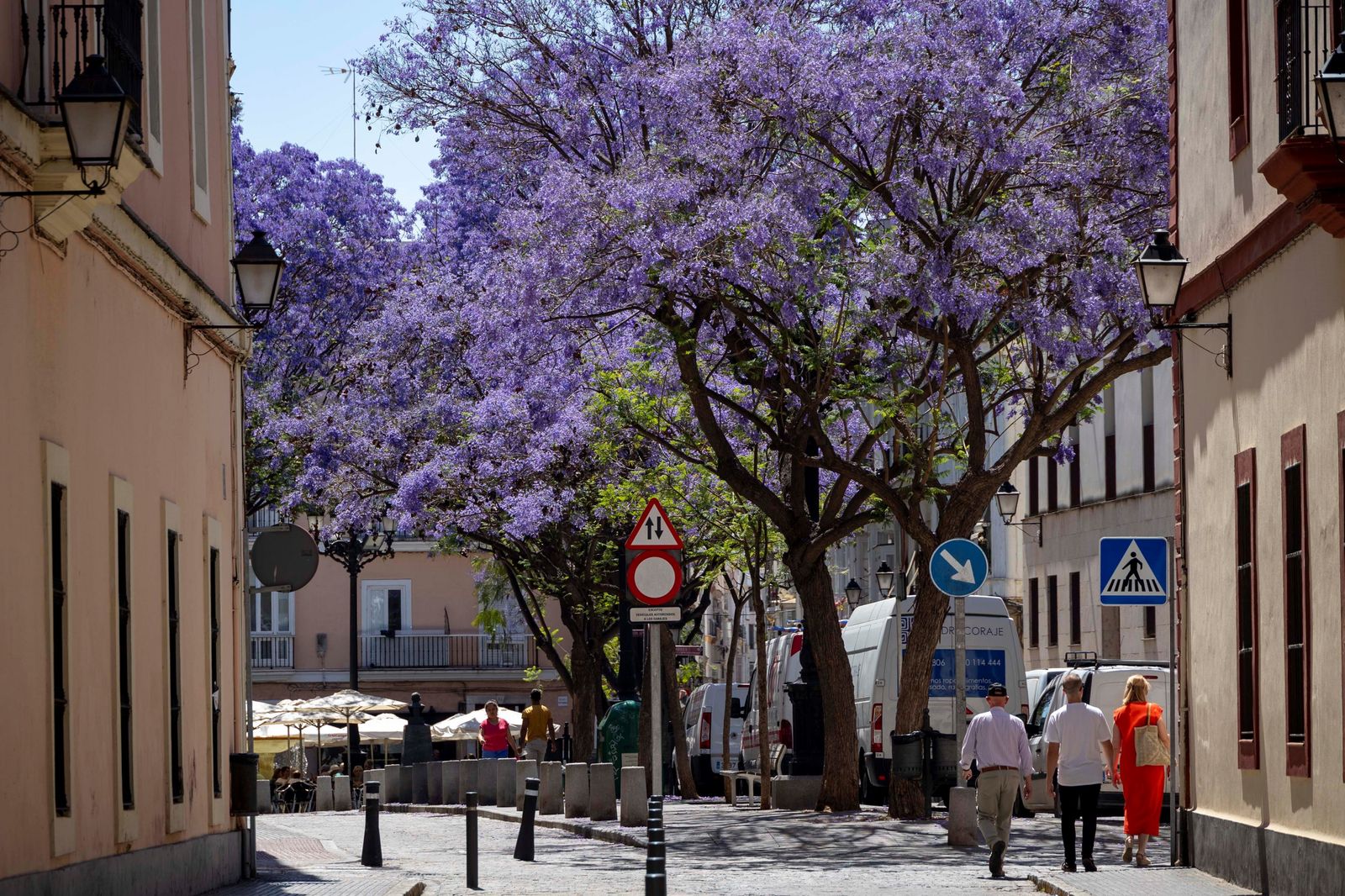 La plaza del Mentidero, lugar sobre el que gira buena parte de la vida de este barrio.