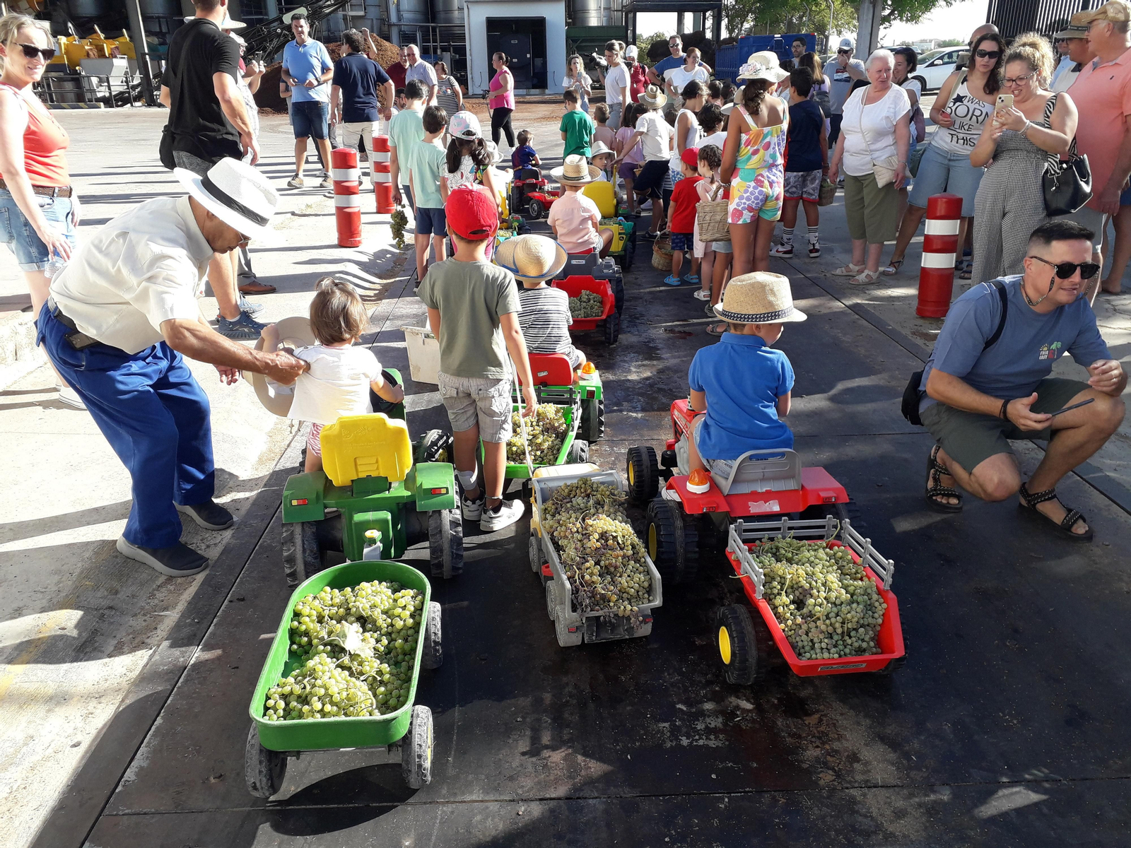 La primera vendimia infantil de Montilla, en imágenes