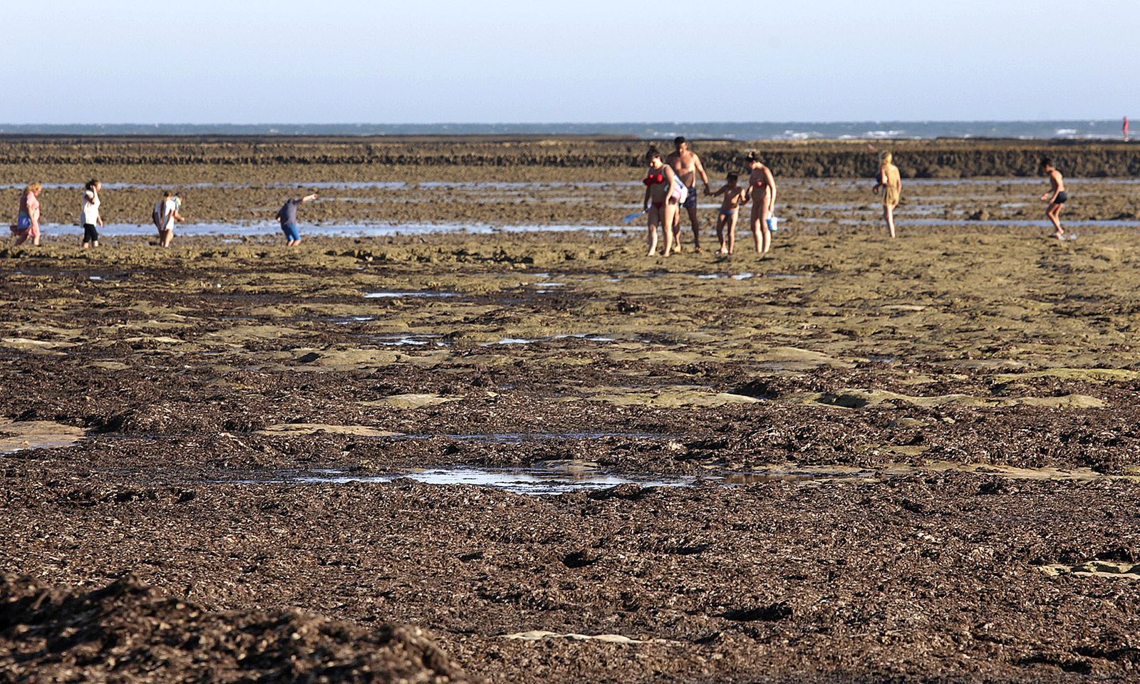 Bañistas en uno de los corrales entre Rota y Chipiona