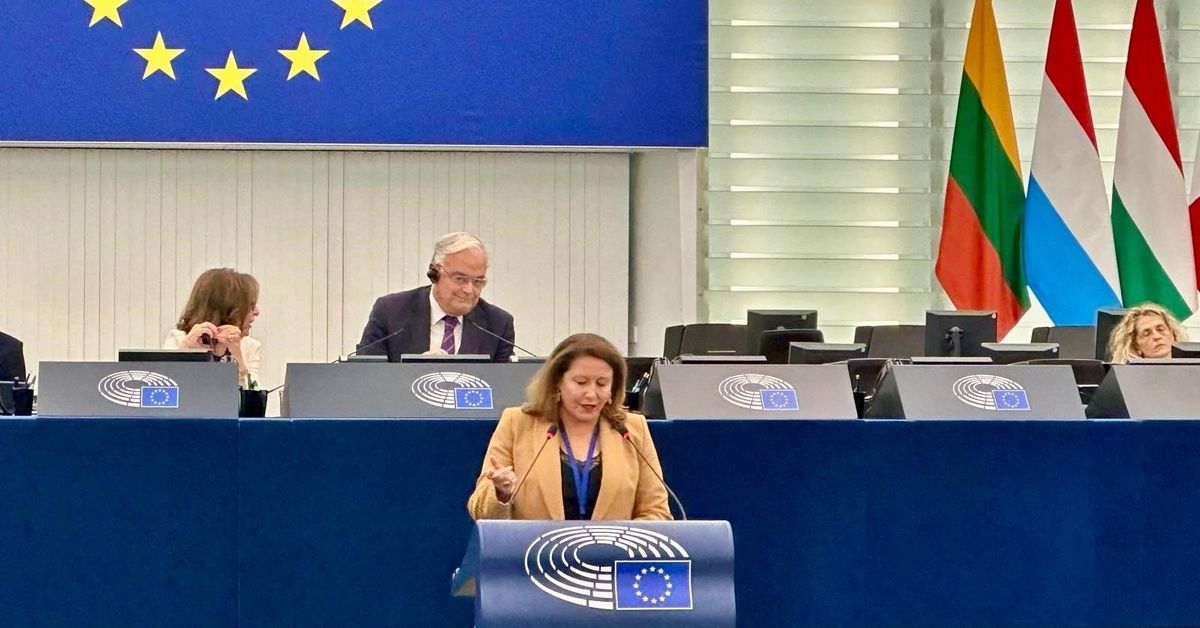 El Parlamento europeo aprueba un informe que rechaza la desaparición de ...