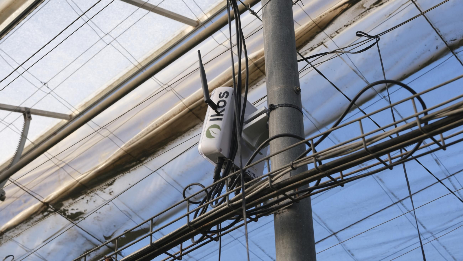 Jornada de puertas abiertas en la Estación Experimental Cajamar Las Palmerillas, en fotos